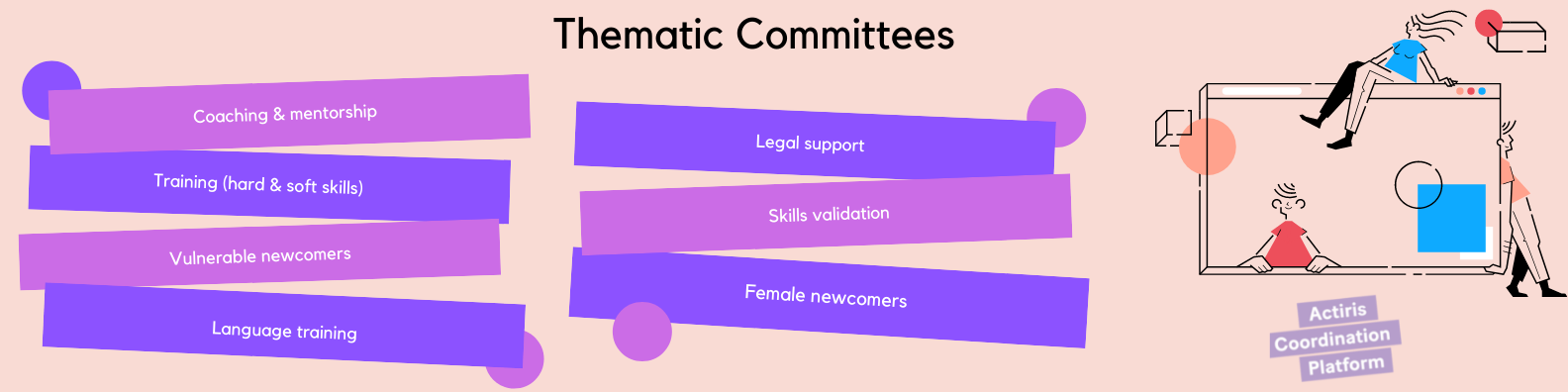 Thematic Committees